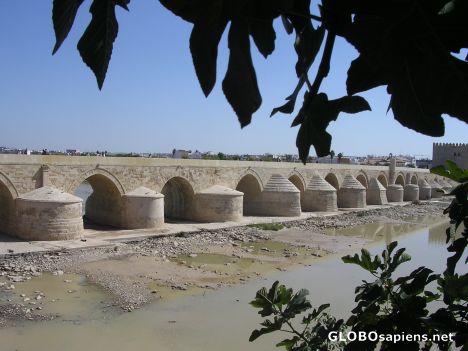 Postcard Puente Romano in Cordoba