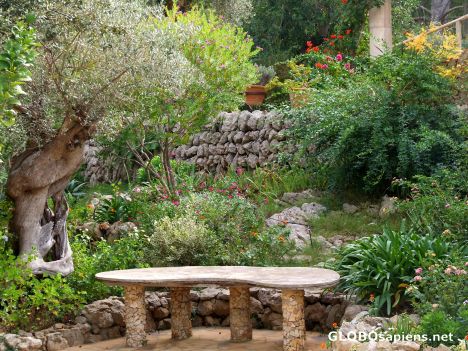 Postcard Beautiful garden