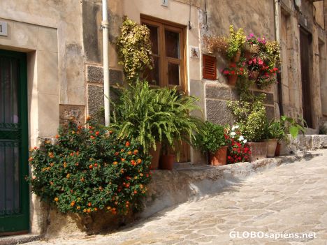 Postcard Flowerpots