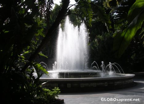 Postcard Park Almeda in Marbella