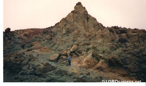 Postcard planet of the apes?.