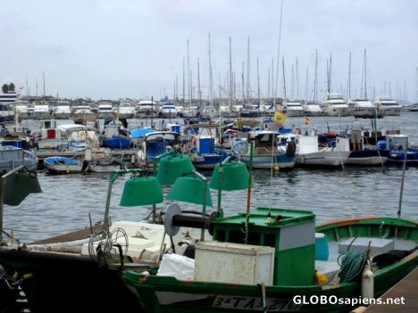 Postcard Fishing boats and yachts