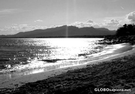 Postcard Early evening on the beach b/w