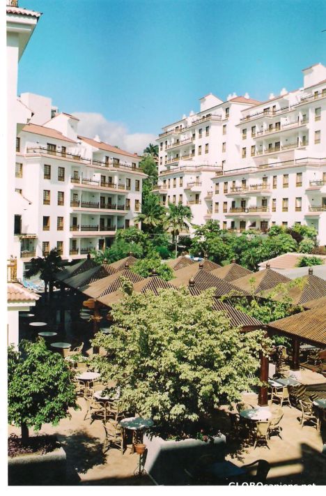 Postcard Oasis in a city.