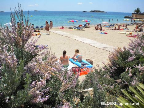 Postcard Figueretas Beach