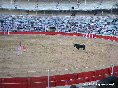 Postcard Inviting the bull