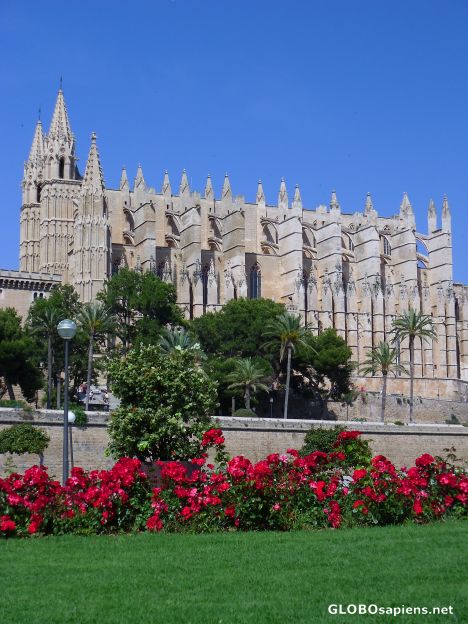 Postcard Sa Seu
