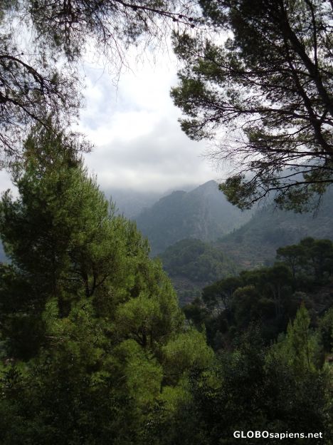Postcard Serra de Tramuntana