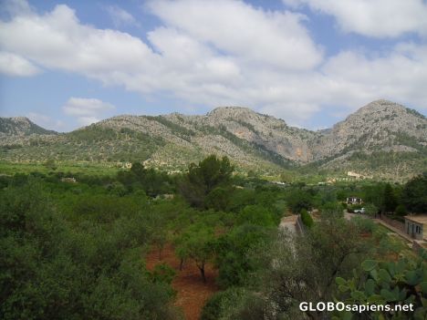 Postcard Serra de Tramuntana 2