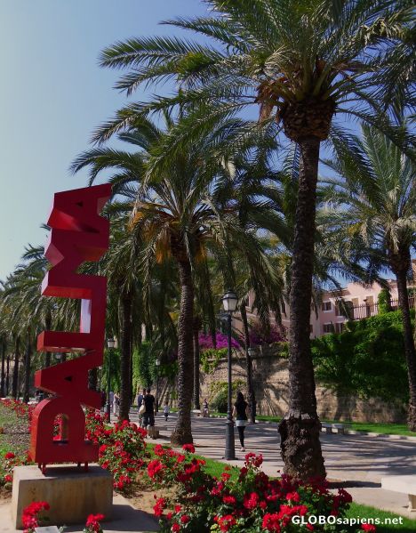 Postcard Palm Trees