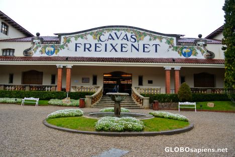 Sant Sadurní d'Anoia - Freixenet vineyard