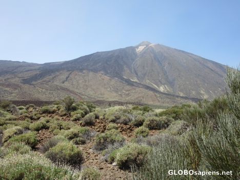 Postcard El Teide