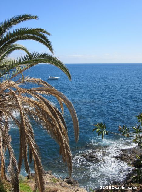 Postcard Tanerife 3