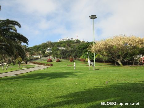 Postcard Doramas Park