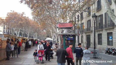 Postcard Rambla in November