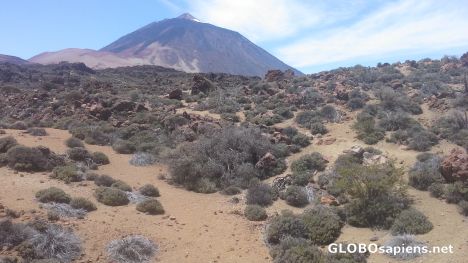 Postcard El Teide