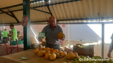 Postcard Sweet papayas