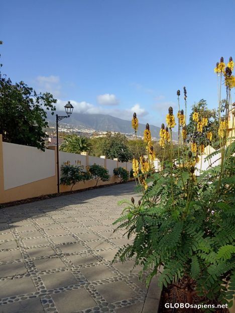 Postcard Orotava Valley