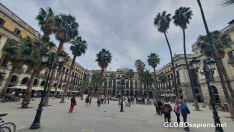 Postcard Royal Square