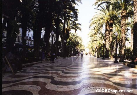 Postcard PROMENADE