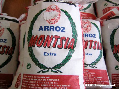 Postcard Rice of Montsia