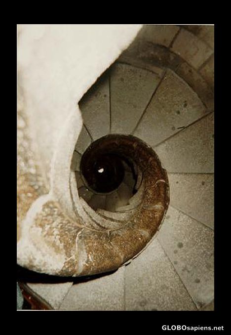 Postcard Inside the Sagrada Familia.