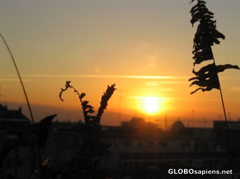Postcard Sunrise in Barcelona