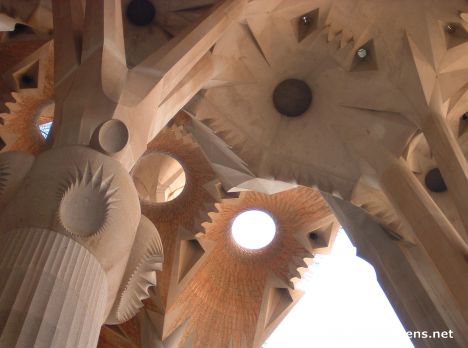 Postcard La sagrada Familia - Ceiling