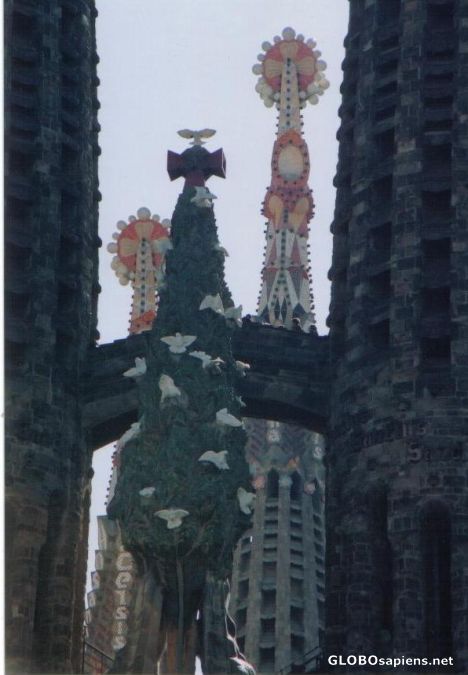 Postcard La Sagrada Familia - Tree of Life