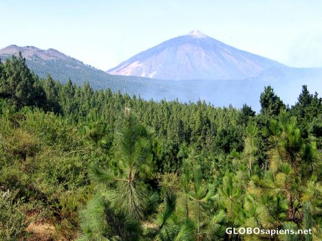 Postcard Tenerife - Pico del Teide