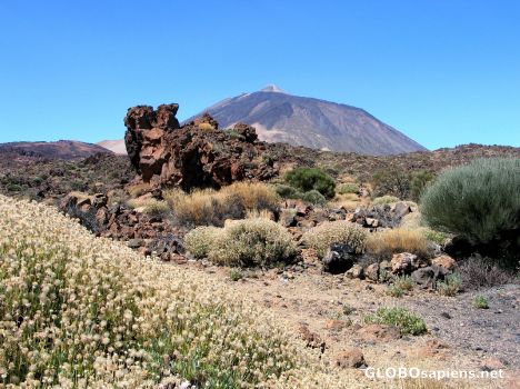 Postcard Tenerife Nationalpark Las Canadas