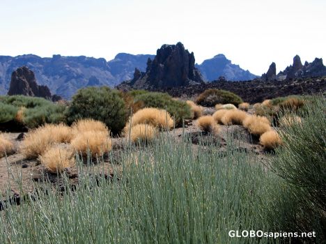 Postcard Tenerife Las Canadas - Roques de Garcia