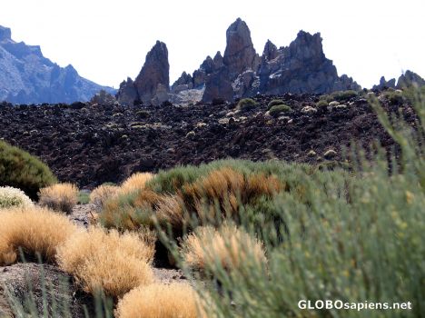 Postcard Tenerife Las Canadas - solidified lava