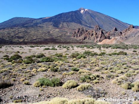 Postcard Tenerife - Nationalpark Las Canadas