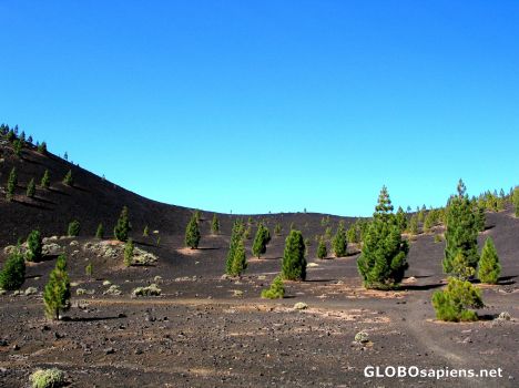 Postcard Tenerife - Las Canadas