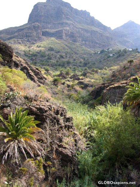 Postcard Tenerife - Masca Canyon