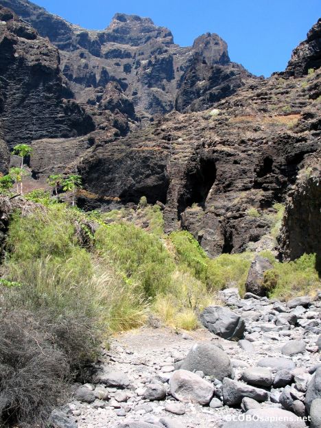 Postcard Tenerife - Masca Canyon