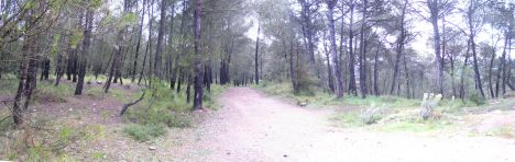 Postcard Vallbona d'anoia