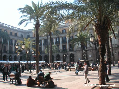 Postcard Placa Reial