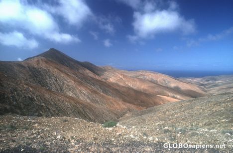 Postcard Fuerteventura