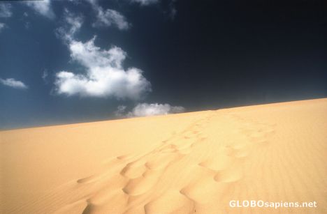Postcard Fuerteventura
