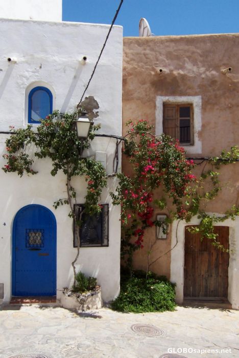 Postcard TWO HOUSES