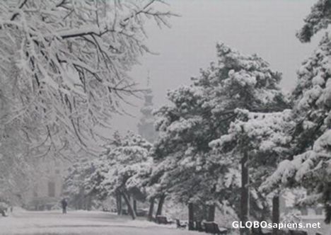 Postcard Kalemegdan for