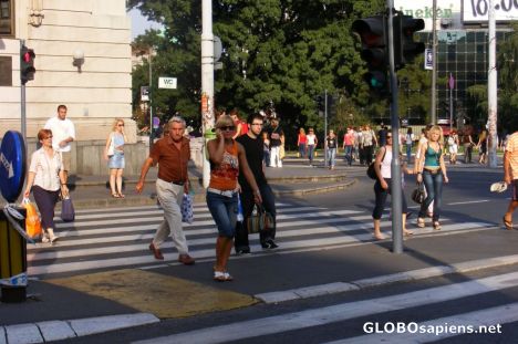 Postcard Zebra crossing