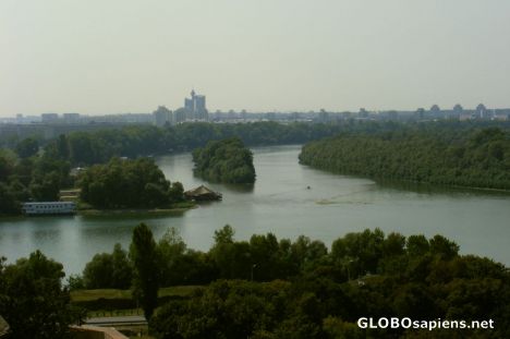 Postcard Junction of the Sava and Danube Rivers