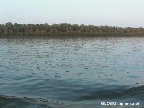 Postcard The Danube River