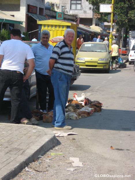 Postcard Man selling chicken alive in a market