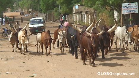 Postcard Back street in Juba