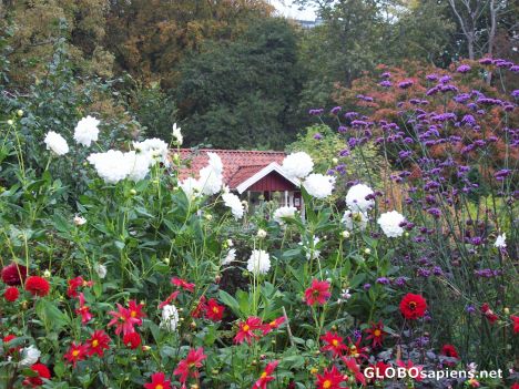 Postcard Botaniska
