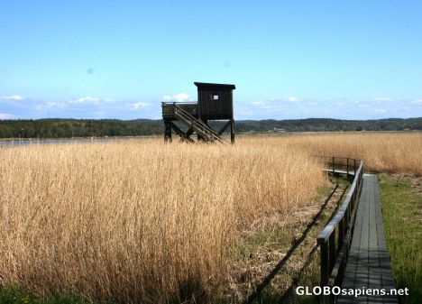 Postcard Tjölöholm Castle; The birding tower I